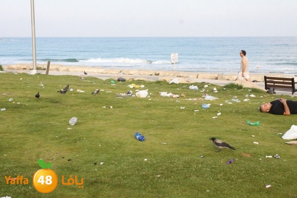 trash in yaffa 812 (39).JPG